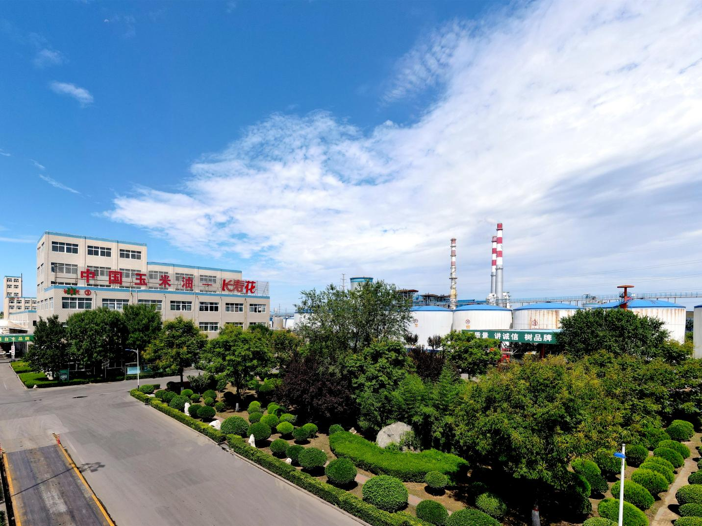 祝賀！長壽花食品榮獲中國農(nóng)業(yè)科學(xué)院杰出科技創(chuàng)新獎(jiǎng)