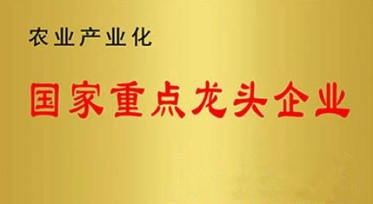 國家重點龍頭企業(yè)！山東三星集團連續(xù)上榜